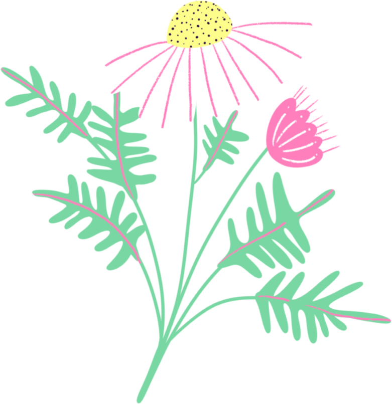 Dessin de cosmos roses et de feuillages verts
